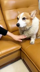 Don't you guys have anyone to play with?