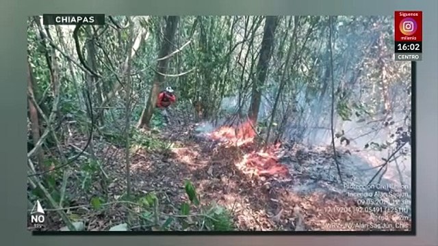 En México se registraron 2,553 incendios forestales durante 2025; han impactado más de 190 hectáreas