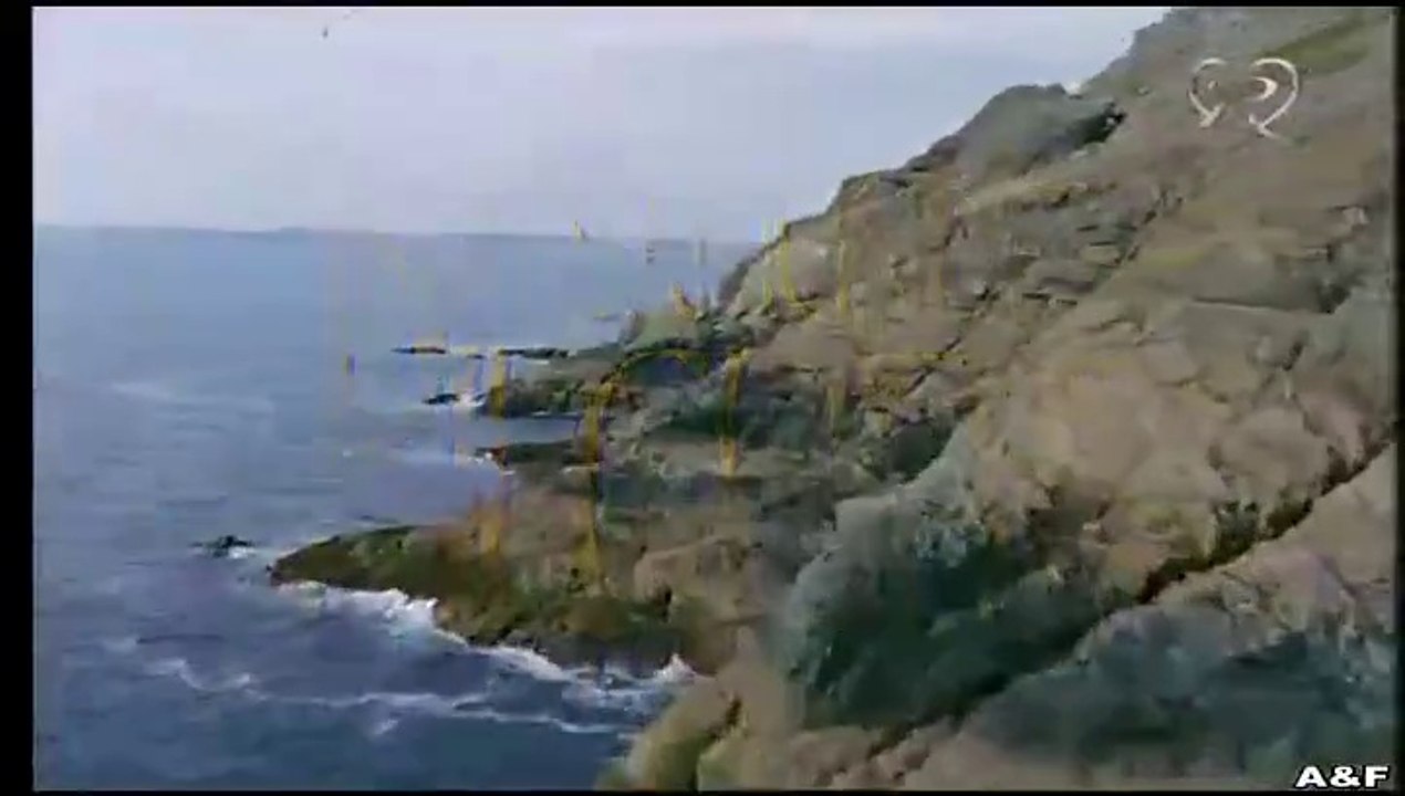 Rosamunde Pilcher -014- Eine besondere Liebe