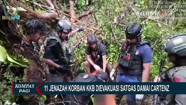 Satgas Damai Cartenz Evakuasi 11 Jenazah Korban Pembunuhan KKB di Yahukimo