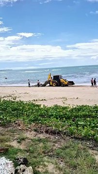 VÍDEO: Tratores retiram toneladas de redes de pesca em praia de Itacimirim