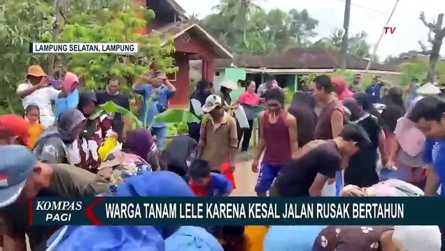 Protes Jalan Rusak 10 Tahun, Warga Lampung Selatan Tebar Lele dan Tanam Pisang di Jalan