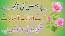 Bas Ek Aansu Ka Qatra💯! Urdu Islamic Quotes💥! Anmol Batain🔥! Best Urdu quotes🔥ISLAMIC URDU MEWAT