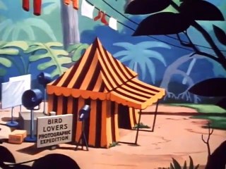 Donald Duck Clown Of The Jungle 1947 Walt Disney Cartoon