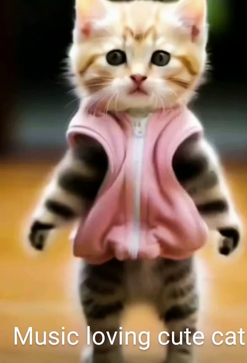 Music loving Cat