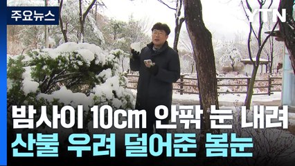 4월 중순에 폭설...봄꽃 대신 눈꽃 핀 강원 산지 / YTN