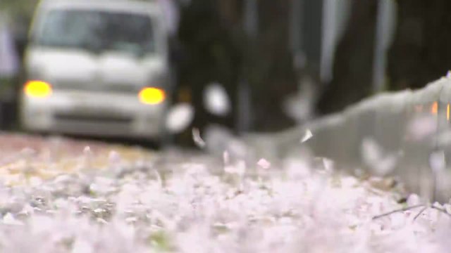 [날씨] 오늘, 전국 강한 바람...종일 바람 불며 쌀쌀 / YTN