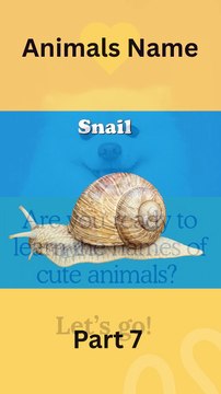Learning Animals Name Part 7 #learning #animals #animalnames #kidslearning #toddlers #babyanimals #cutekids #jungleworld