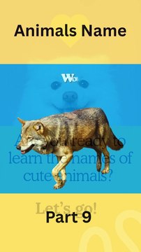 Learning Animals Name Part 9 #learning #animals #animalnames #kidslearning #toddlers #babyanimals #cutekids #jungleworld