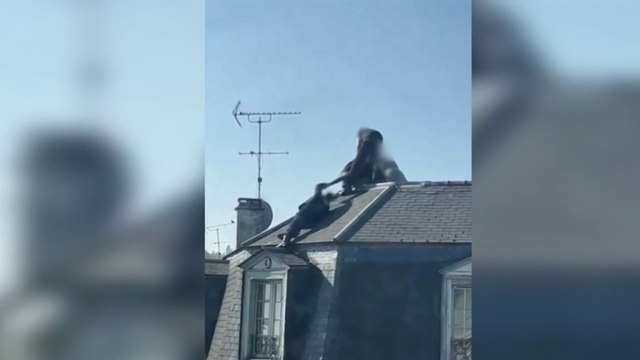 Seine-Saint-Denis : arrestation périlleuse d’un individu sur un toit à Villemomble (vidéo)