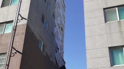 부산, 나무 쓰러짐 사고 등 31건 안전 조치 / YTN