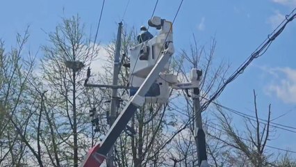 울산에 강한 바람...지붕 전신주 덮쳐 55가구 정전 / YTN