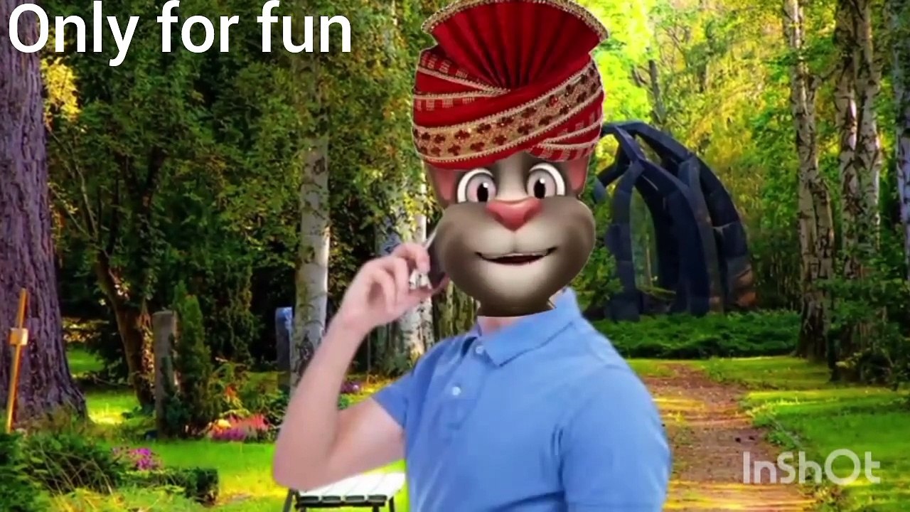Funny videos best scenes
