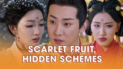 Scarlet Fruit, Hidden Schemes