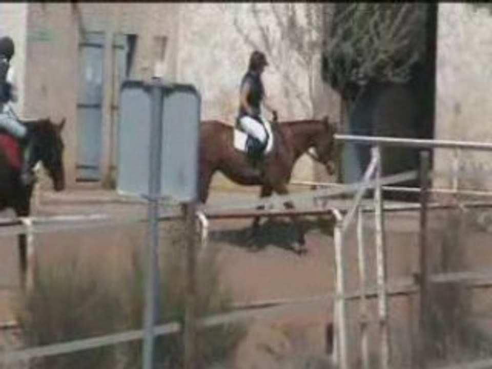 Galop7detente