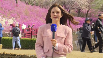 변덕스러운 날씨 속 봄꽃 인파...원미산 진달래 만개 / YTN