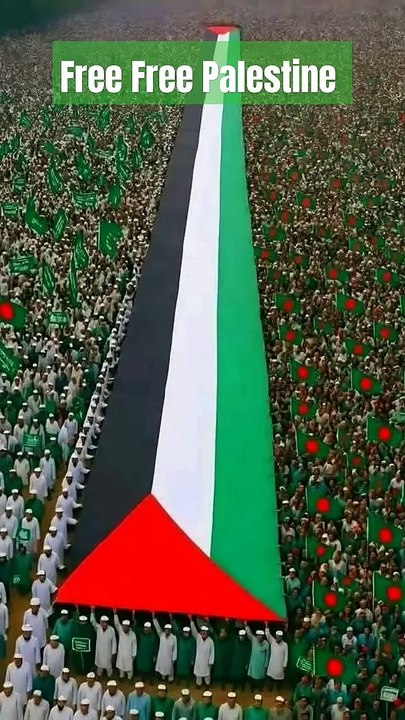 Free Palestine 🇵🇸 l #shorts #Free_Free_Palestine #islamicshorts #islamicvideo #islamic #palestine