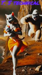 Rabit rescue baby cat