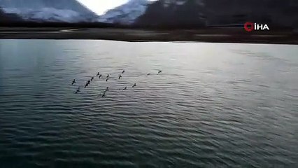 Kızıl kanatlar gökyüzünü süsledi