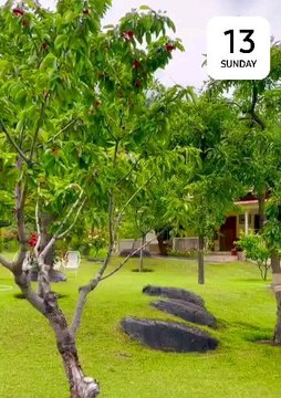 Beautiful place in Pakistan! 😍🇵🇰 #Pakistan #Travel #Beauty #Landscape