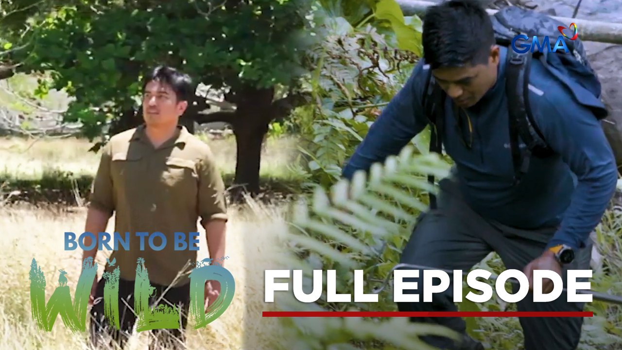 Wildlife in their natural habitat (Full Episode) | Born to be Wild