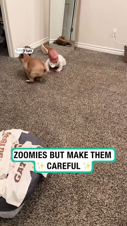 Zoomies but make them careful