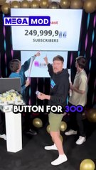 cat are very beautiful