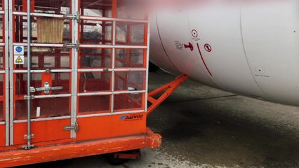 공항 화물차가 강풍에 밀려 비행기 충돌...출발 지연 / YTN