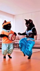 Billi Ka Dance Dekh Kar Sab Hairaan Reh Gaye!"