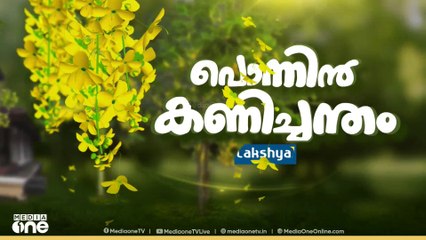വിഷുപ്പുലരിയെ വരവേൽക്കാൻ ഒരുക്കങ്ങൾ പൂർത്തിയാക്കി മലയാളികൾ
