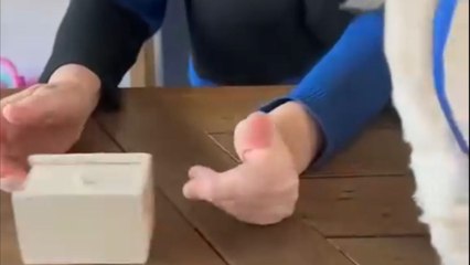 Mum's priceless reaction to surprise spider prank is comedy gold