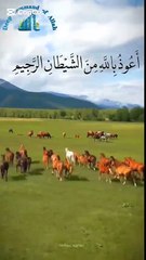 VID-20250413-WA0000 Surah AlAsr Recitation of the Quran