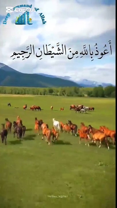 VID-20250413-WA0000 Surah AlAsr Recitation of the Quran