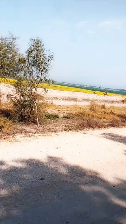 nature