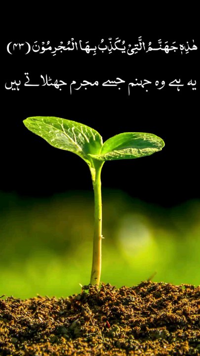 Quran Recitation