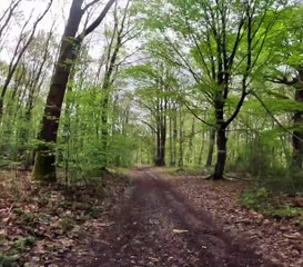 70 km de VTT avec une fine équipe
