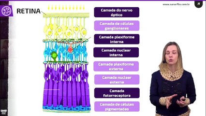 Aula visão fisiologia
