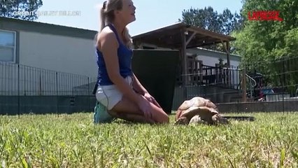 Mississippi, torna a casa la tartaruga dispersa durante il tornado