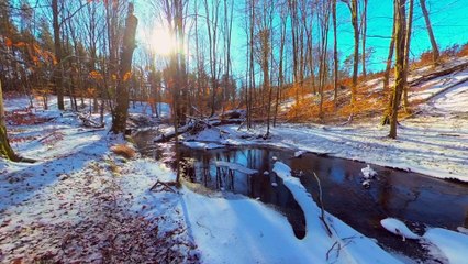 4K  Winter Magic Peaceful Sound of a Forest Stream