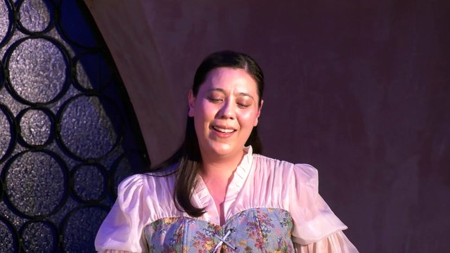 Lohengrin Richard Wagner in Oper in der Krypta