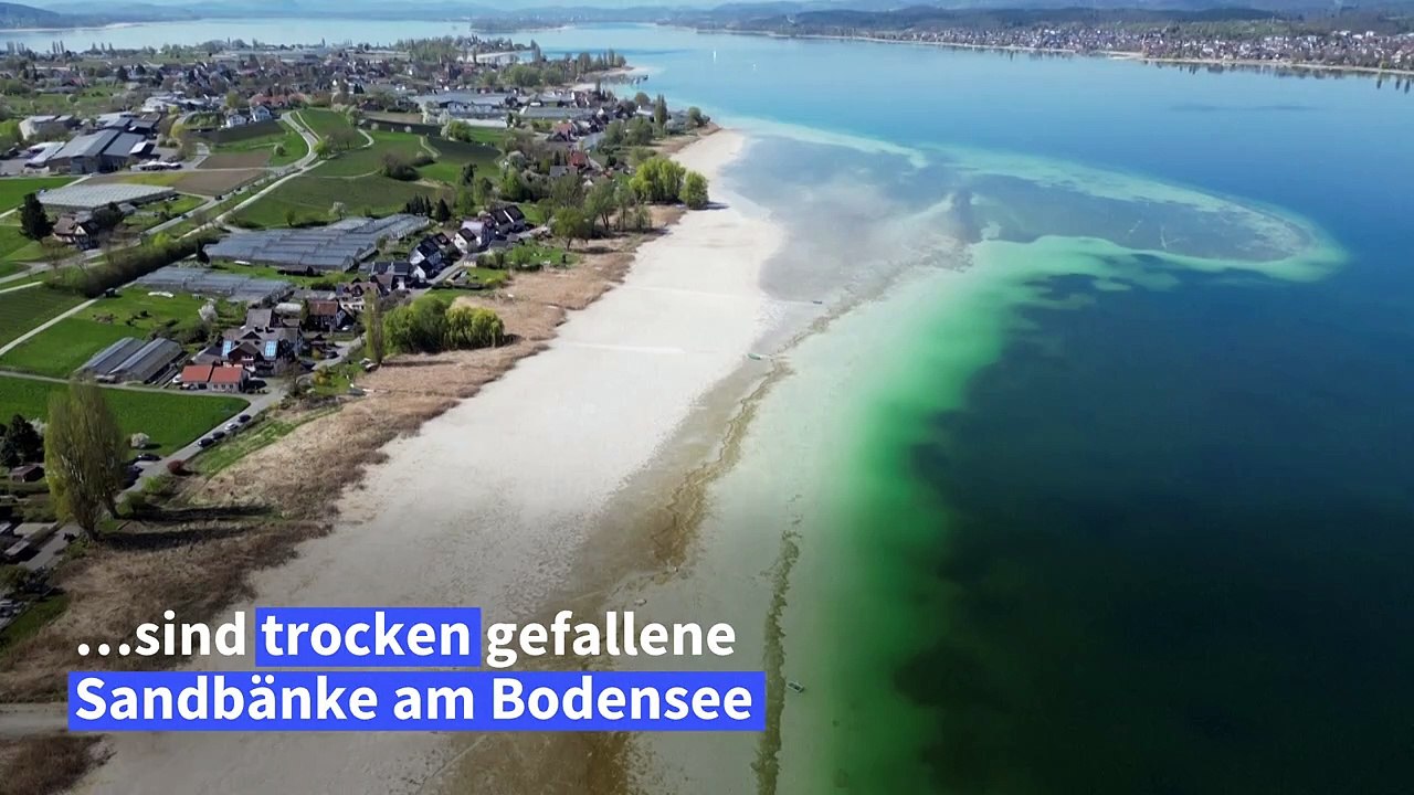 Bodensee hat so wenig Wasser wie seit Jahrzehnten nicht