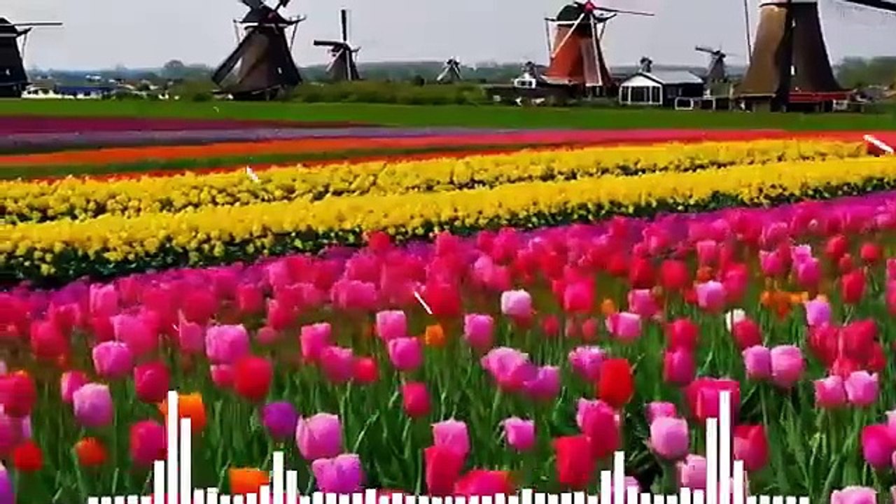 Le 100 canzoni italiane più belle degli ultimi 20 anni  Migliori Canzoni Italiane Di Sempre