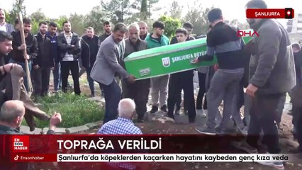 Şanlıurfa'da köpeklerden kaçarken hayatını kaybeden genç kıza veda