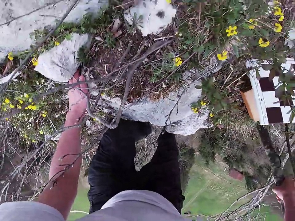 On the way to a triple - chess study