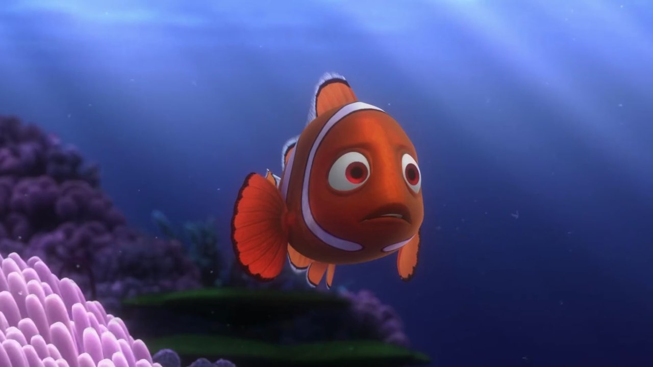The Physical Deceased of The Female-Clownfish Coral, 2003