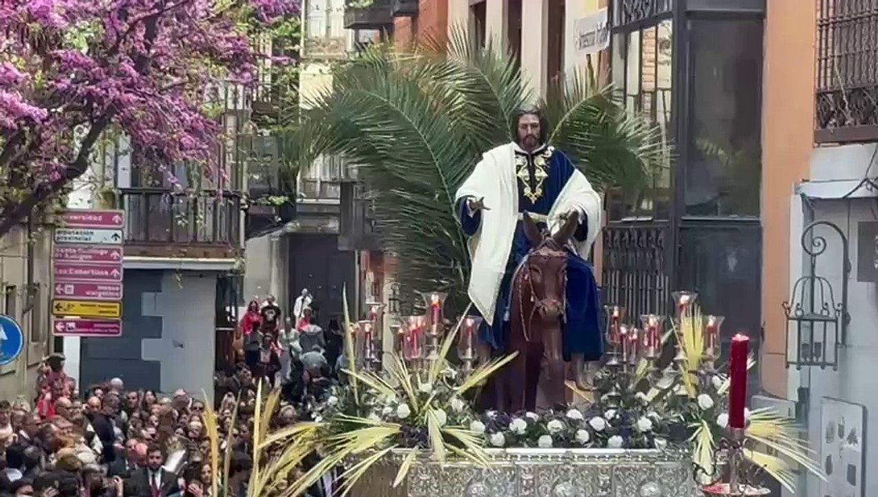 El tiempo permitió a Toledo vestirse de ramos
