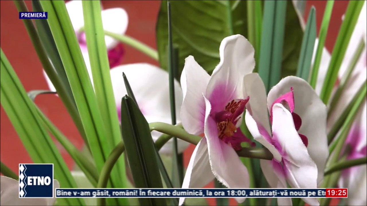 Nicolae Datcu - Lasa-ma, tata, in pace (Cantec din suflet de roman - ETNO TV - 28.02.2025)