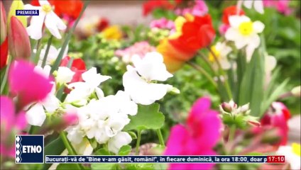 Domnica Sorescu - Frate lautar (Petrecerea artistilor - ETNO TV - 13.04.2025)