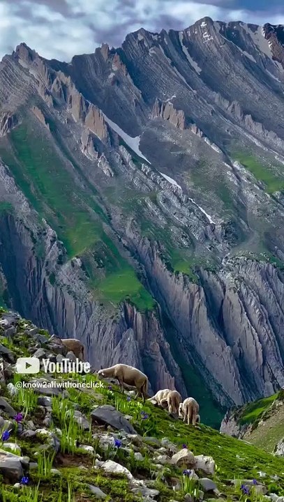 #kashmir #mountains #snow #explore #explorepakistan #beautifulpakistan #valley