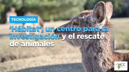 ‘Hábitat’, un centro para la investigación y el rescate de animales